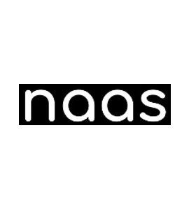 NAAS AI, Inc. logo